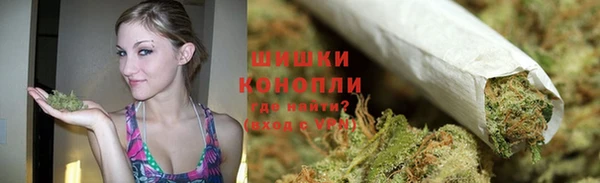 МДПВ Горно-Алтайск