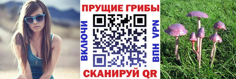 Купить  Каменск-Шахтинский  Псилоцибиновые грибы прущие грибы 